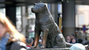 Estatua de Hachiko frente a la estación de Shibuya en Tokio, Japón.