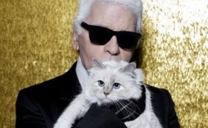 Fotografía editorial de un perro maltés blanco sobre un sofá elegante, con una ambientación de lujo discreto.