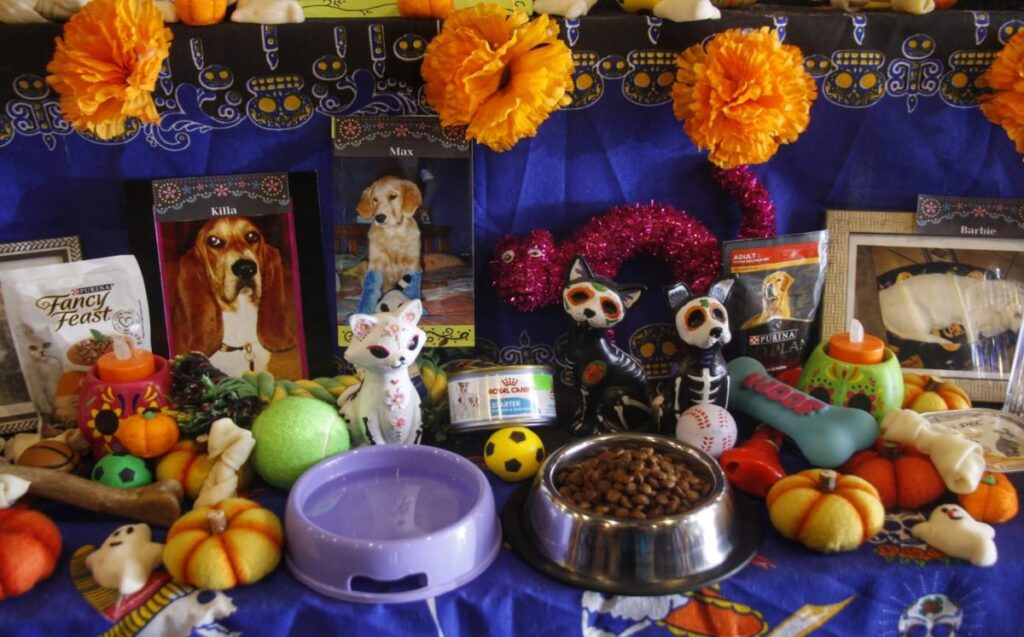Cada 27 de octubre, muchas familias mexicanas recuerdan a sus perros y gatos fallecidos con altares especiales. Conoce el origen de esta costumbre y cómo rendirles homenaje.