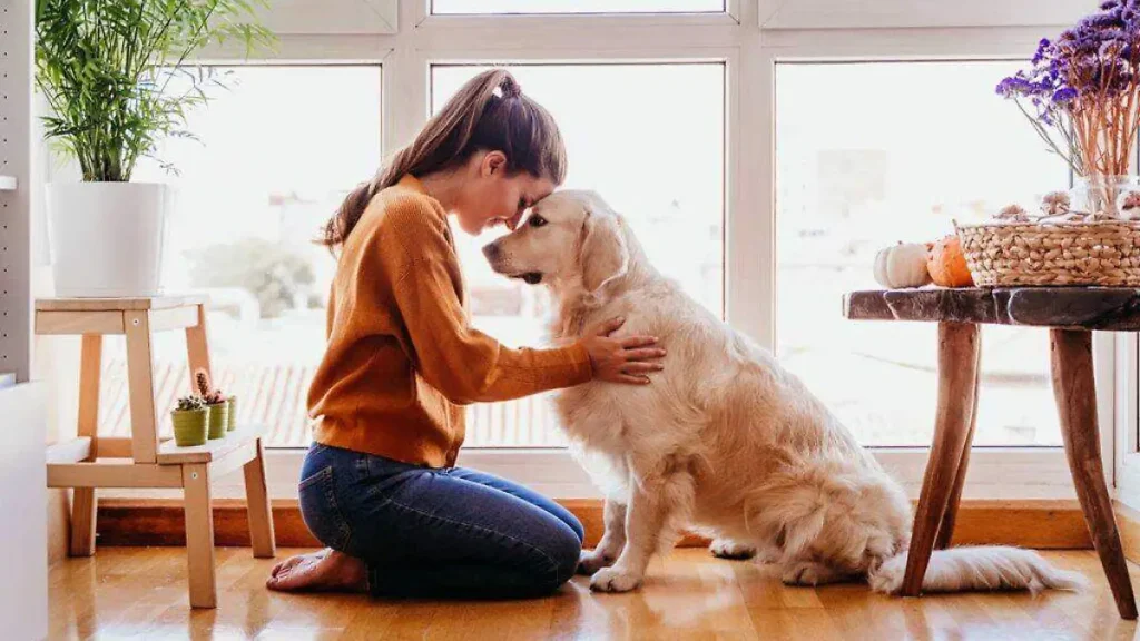Una persona sentada en el sofá acariciando a su perro en un ambiente cálido y relajado.