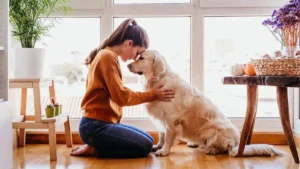 Una persona sentada en el sofá acariciando a su perro en un ambiente cálido y relajado.